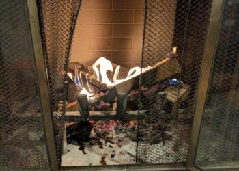 Fireplace Friday, February 6, 2026 (On Historical Migrations) – A Assortment of Unmitigated Pedantry