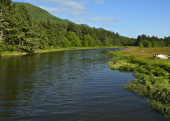 How California Rural Residents Are Benefitting from Digital IOP for Psychological Well being