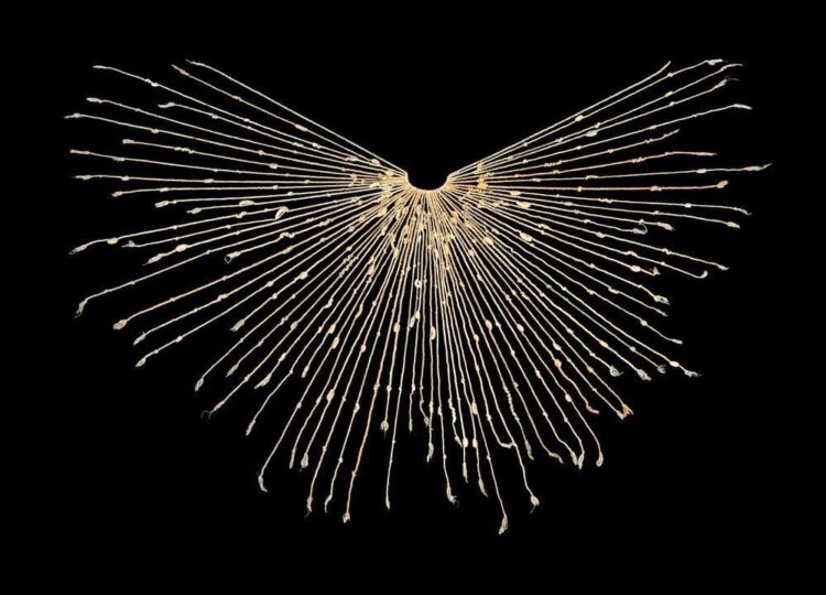 Uncover Khipu, the Historical Incan File & Writing System Made Totally of Knots