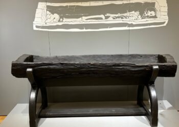 Tree rings of Princess of Bagicz picket coffin resolve date dispute – The Historical past Weblog