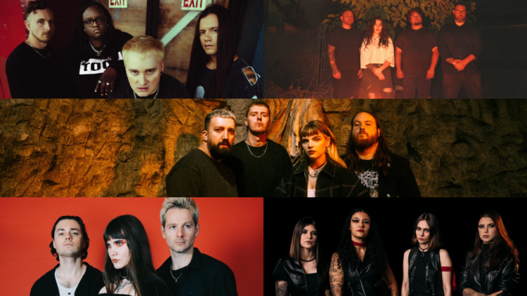 10 Stellar Artists To Help All through The Yr, Regardless Of Girls’s Month