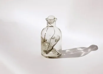 Biljana Petreska: When Presence Leaves a Seen Hint