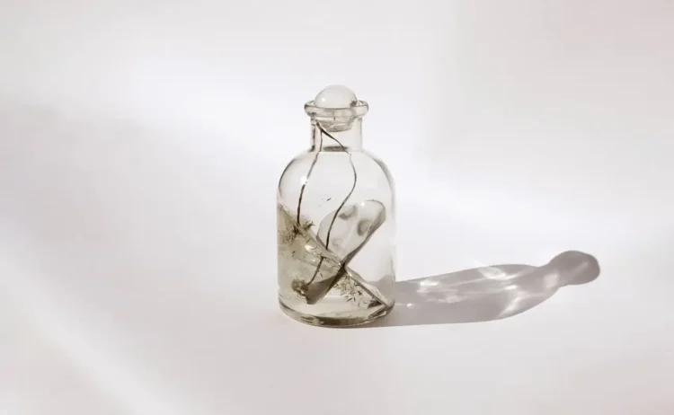 Biljana Petreska: When Presence Leaves a Seen Hint