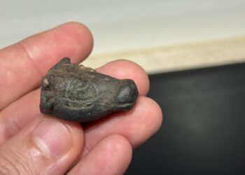 Hiker stumbles on uncommon tiny bull head in Mallorca – The Historical past Weblog