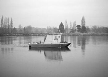 “Tree Work” by Photographer Reave Dennison