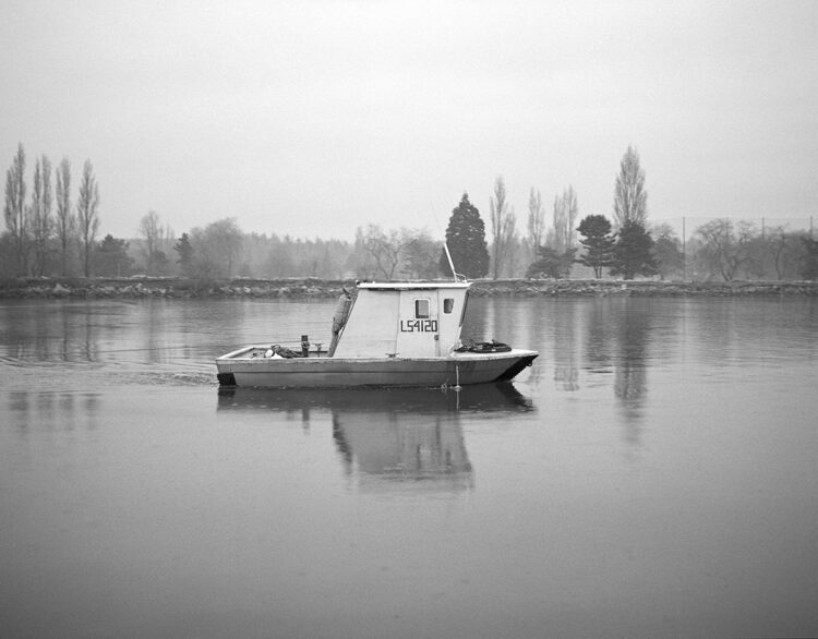 “Tree Work” by Photographer Reave Dennison