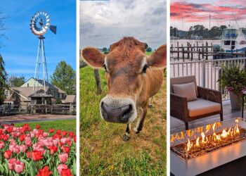 15 Hidden East Coast Cities Excellent for Gradual Journey (2026)