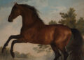 Portrait of a Horse on the Nationwide Gallery » Artwork & Vintage Market