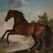 Portrait of a Horse on the Nationwide Gallery » Artwork & Vintage Market