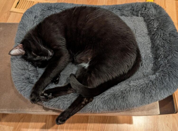 Fireplace Friday, March 6, 2026 – A Assortment of Unmitigated Pedantry