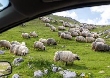 Have a Enjoyable Weekend. | Cup of Jo