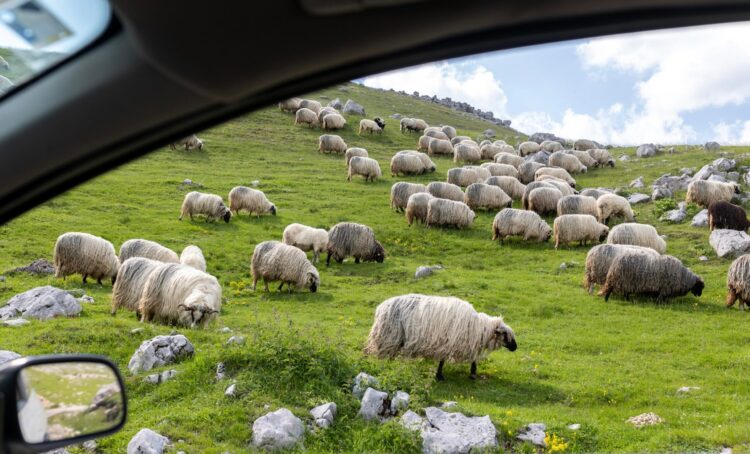 Have a Enjoyable Weekend. | Cup of Jo