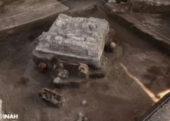 Toltec human sacrifice altar present in Mexico – The Historical past Weblog