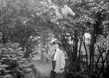 A Historical past of Lilacs in Canada – Lively Historical past