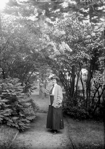 A Historical past of Lilacs in Canada – Lively Historical past