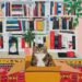 Artwork historical past has at all times been obsessive about cats – now there is a e-book to show it