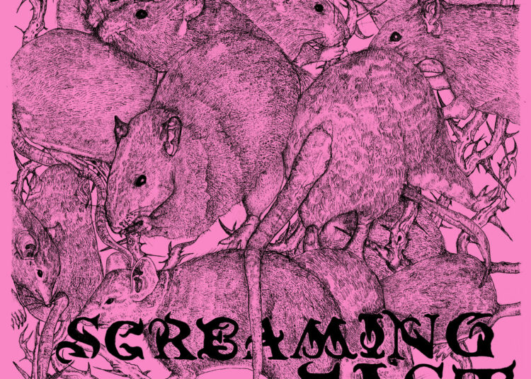 Screaming Fist Launch New EP ‘Santa Plaga’: Pay attention