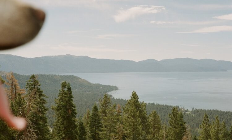 Have a Candy Weekend. | Cup of Jo