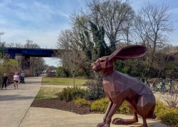 H’s Allergy Complement Line Up