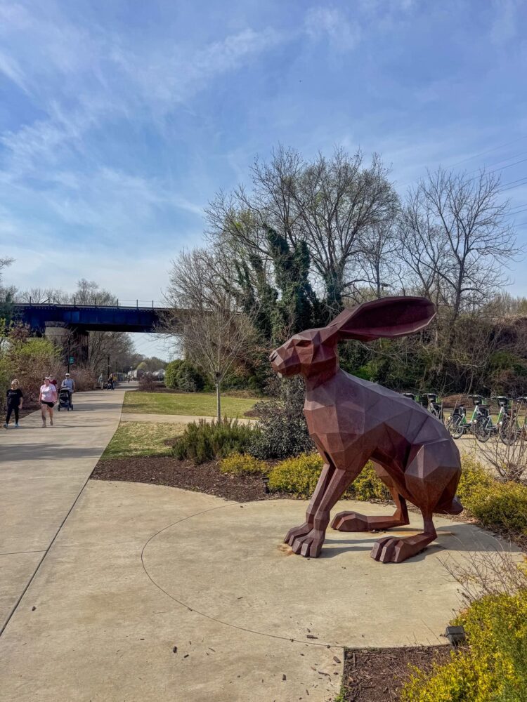 H’s Allergy Complement Line Up