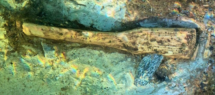 Neolithic axe present in Lake Constance – The Historical past Weblog