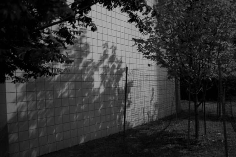 “In Plain Sight” by Photographer Britt Lucas Bennett