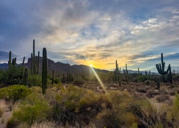 Canyon Ranch Mom Daughter Journey