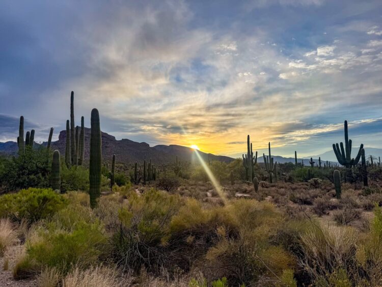Canyon Ranch Mom Daughter Journey
