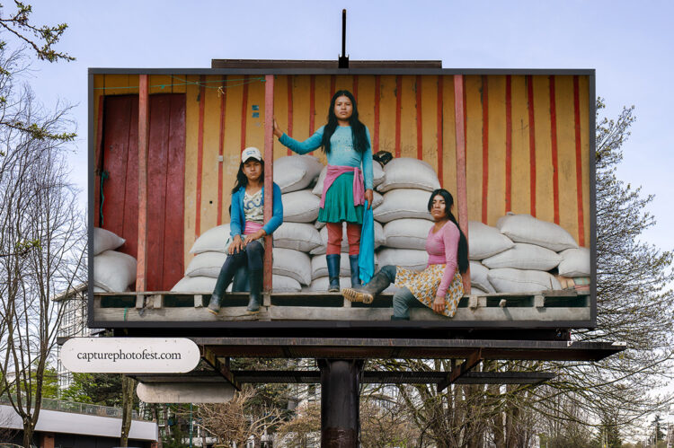 6 Exhibitions & Installations to See