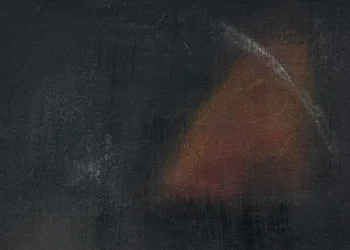 Daun Suh: The place Reminiscence, Shadow, and Kind Collide