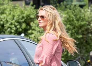 Britney Spears Enters Rehab Voluntarily After D.U.I. Arrest