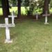 Discovering Welfare Historical past in Holy Trinity Cemetery, Thornhill – Lively Historical past