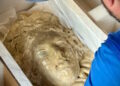 Head of Medusa stolen a century in the past to be restored – The Historical past Weblog