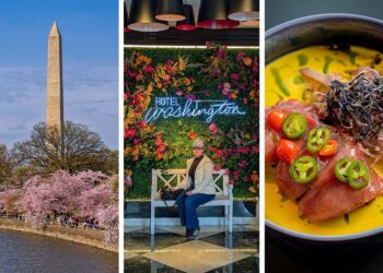 Resort Washington Evaluation: DC Cherry Blossom Season Information