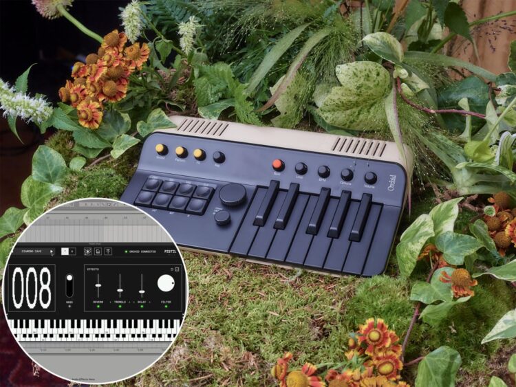 the companion app to the ground-breaking Orchid has lastly arrived