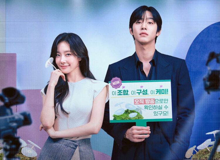 Solid, Rumours & Launch Date