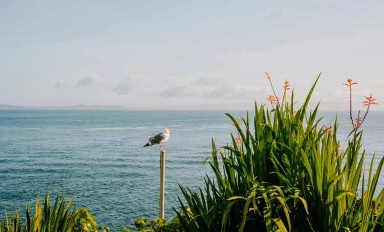 Have a Beautiful Weekend. | Cup of Jo