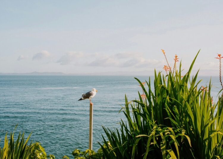 Have a Beautiful Weekend. | Cup of Jo