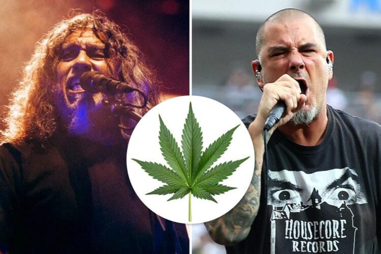 20 Most Metallic Names of Marijuana Strains