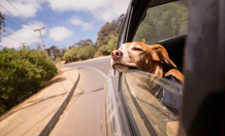 Have a Stress-free Weekend. | Cup of Jo