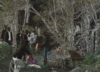 Juxtapoz Journal – Cinga Samson “Ukuphuthelwa” @ White Dice Gallery, NYC