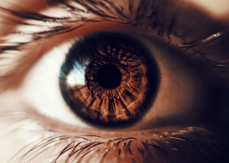 Sam Altman-Backed Startup Reveals New Software to Fight Live performance Ticket Scalping Bots