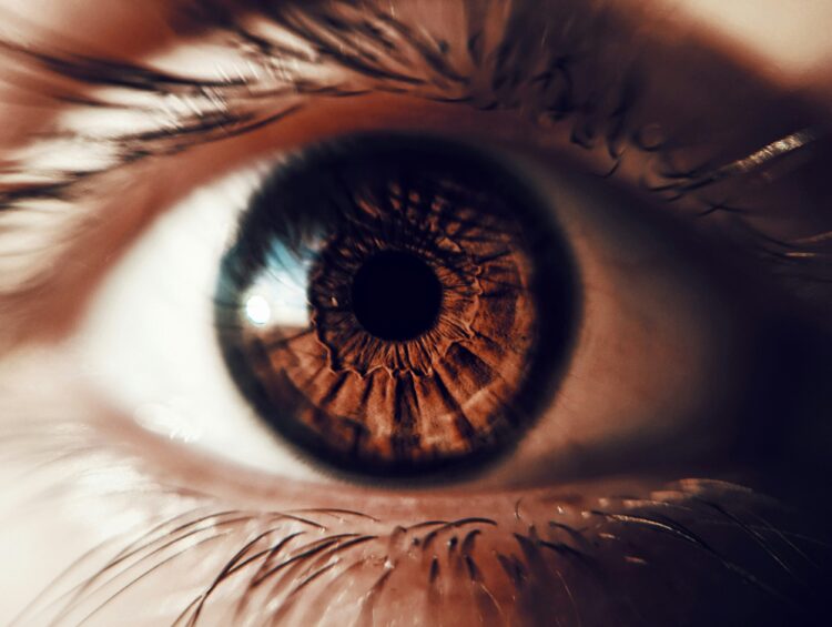 Sam Altman-Backed Startup Reveals New Software to Fight Live performance Ticket Scalping Bots