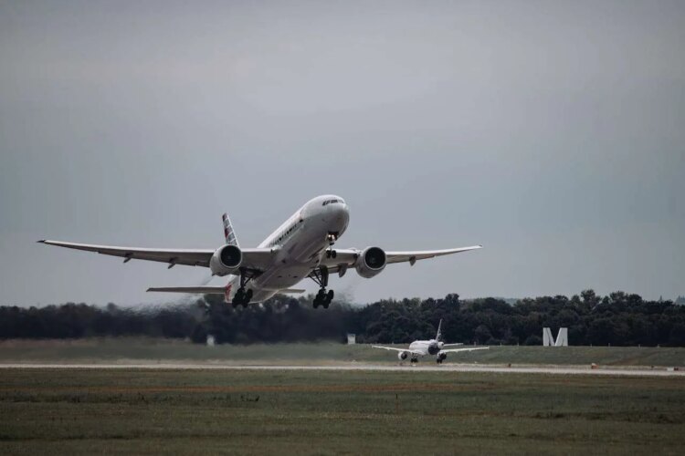 The IP Proprietor’s Information to Constructing a Metadata Technique That Works