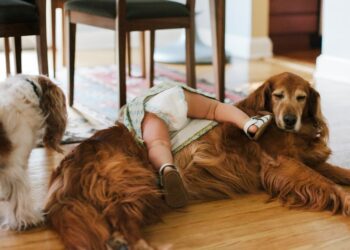 Every little thing You Do Is Good.