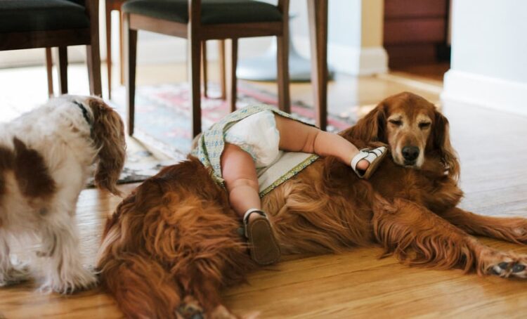 Every little thing You Do Is Good.