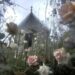 Artist Liminal Bloom Builds A Non-public World Of Delicate Mysticism, Religion, And Dreamlike Thresholds » Design You Belief — Design Each day Since 2007