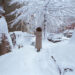 “Walk_” by Photographer Derek Beck