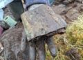 Stays of illicit whisky nonetheless present in Scottish Highland – The Historical past Weblog