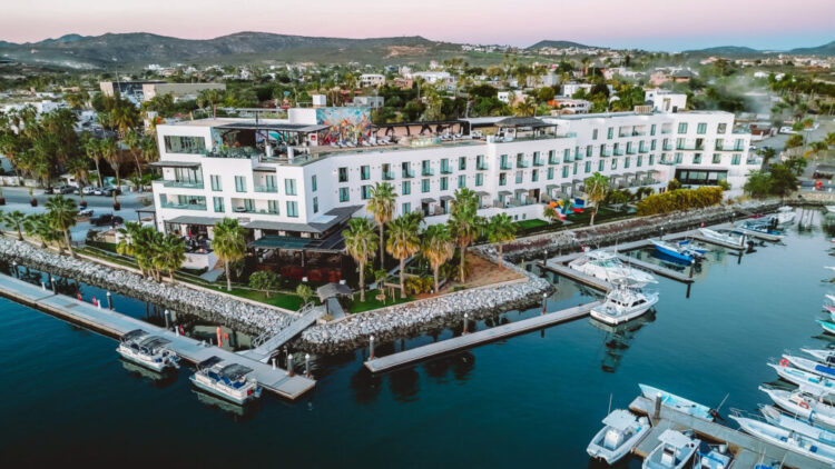 Lodge El Ganzo: The Cabo Music Utopia That Solely Makes Sense in Individual